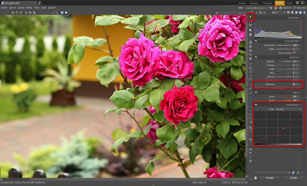 Zvýšením zřetelnosti a snížením saturace červené vrátíte kresbu do vybraných růží.jpg