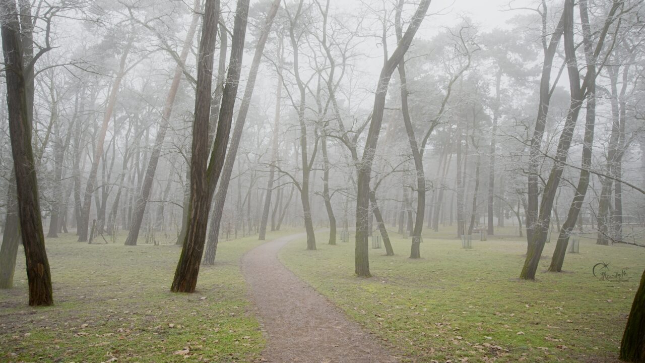 Galerie, 16-50mm