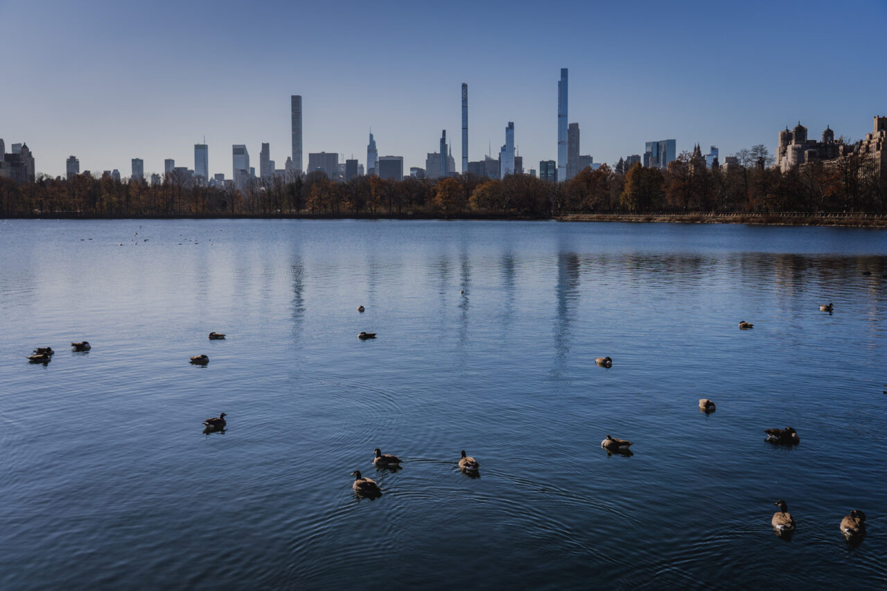 Kam se vydat v lednu, New York (USA), Central park